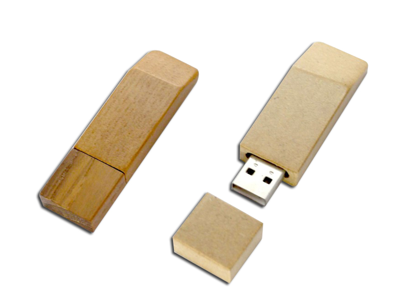wooden usb flash drive H909